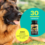 American BioSciences NK-9, AHCC Suplemento para Perros y Gatos - Apoyo Inmunológico - 30 Cápsulas, 250mg/cápsula
