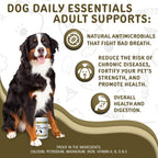 waggedy Daily Essentials Adult Soft Chews - Multivitamínico para Perros (120 Chews Blandos)