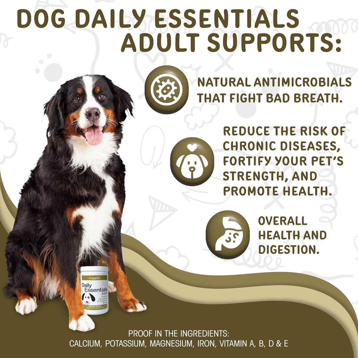 waggedy Daily Essentials Adult Soft Chews - – Complejo de vitaminas B: importantes para el metabolismo energético – Image 2