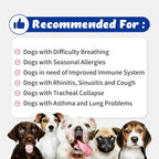 Respiratory Guardian para Perros - Apoyo Pulmonar, Nasal, Bronquial y Traqueal (135g) con Quercefit® y Probióticos Respiratorios