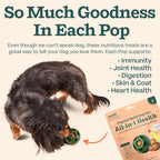 WOOF Pupsicle Recambios Multivitamínicos para Perros - 10 Unidades