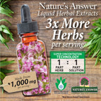 Nature's Answer Extracto de Schisandra - Sin Alcohol, Sin Gluten - Apoyo para el Estrés y la Fatiga