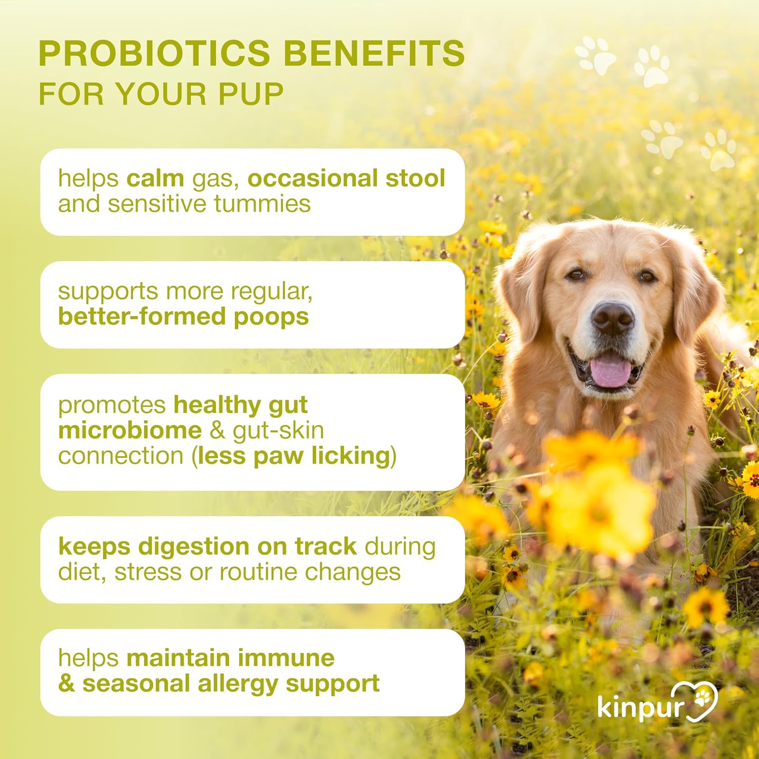 Kinpur Probióticos para Perros – 4 Mil Millones UFC, 6 Cepas + Colostro y Enzimas Digestivas – Sabor a Pato – 120 Masticables