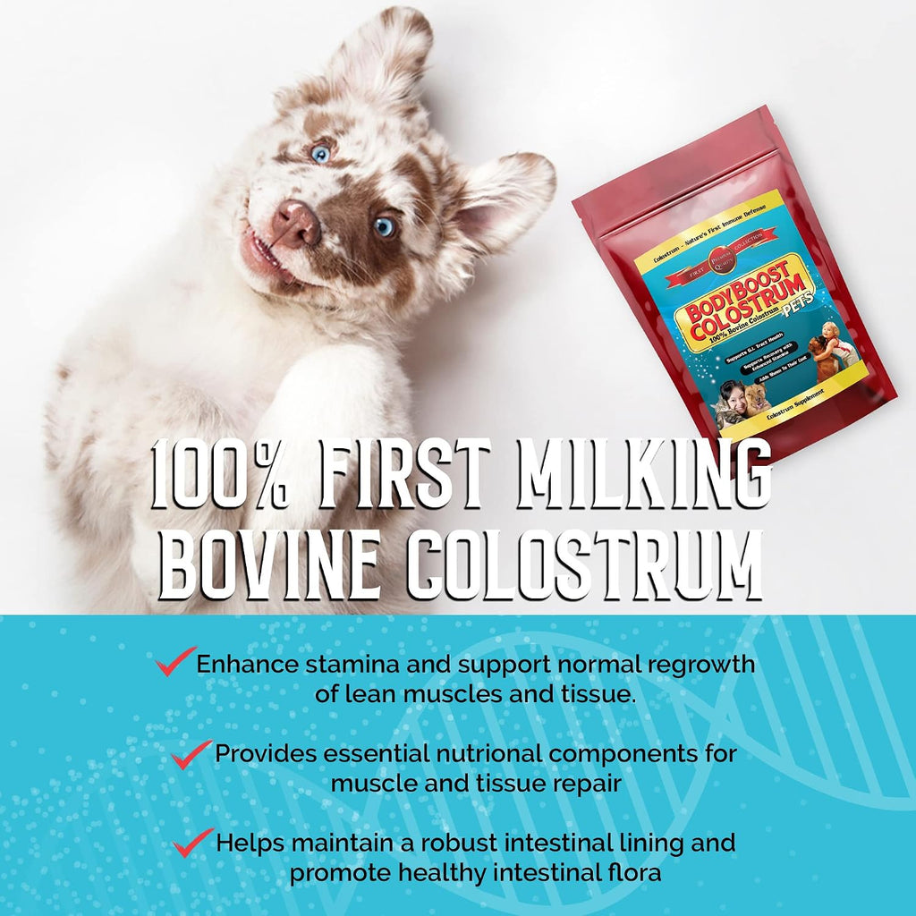 BodyBoost Calostro Bovino para Perros y Gatos - Suplemento Inmunitario Orgánico, Alivio de Alergias y Picazón, Salud Intestinal, Todas las Edades, 227 g
