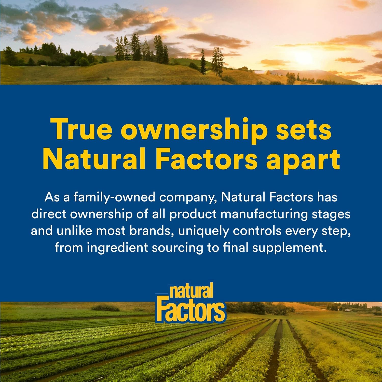 Natural Factors Multivitamínico y Mineral para Hombres 50+, 60 Comprimidos
