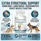 Complemento de vitamina K para perros - K1 y K2 (MK4 + MK7) + Vitamina D3 para la salud ósea, apoyo cardíaco y absorción de calcio - Fórmula avanzada para articulaciones fuertes, músculos y sistema inmunitario - 120 comprimidos
