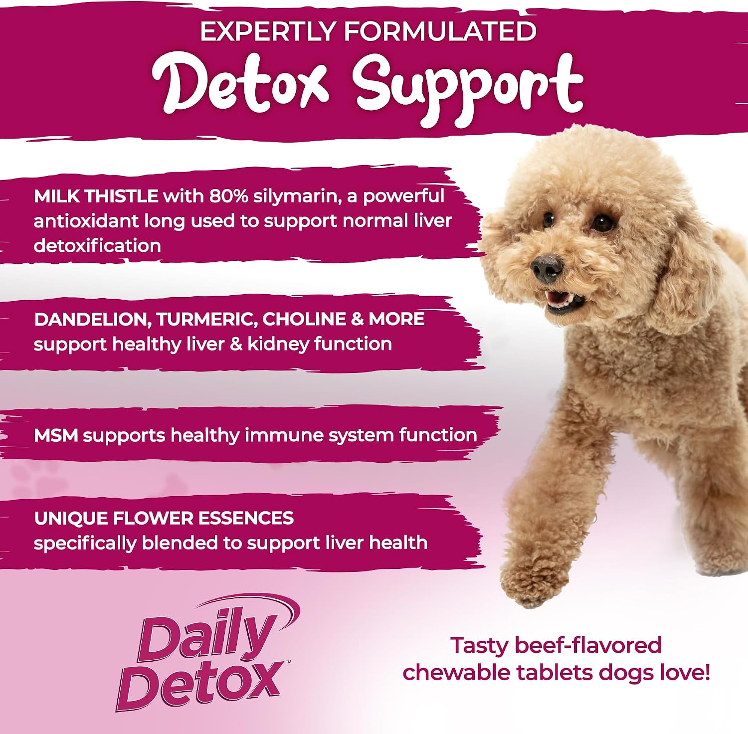 Vital Planet - Daily Detox para Perros con MSM, Cardo Mariano, Espirulina y Cúrcuma - Apoya el Sistema Inmunológico y la Limpieza Natural del Hígado - 60 Comprimidos Masticables Sabor Carne de Vacuno