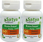 Kanchnar Forte Cápsulas 500 mg - 120 Cápsulas Vegetales (2 Envases de 60)