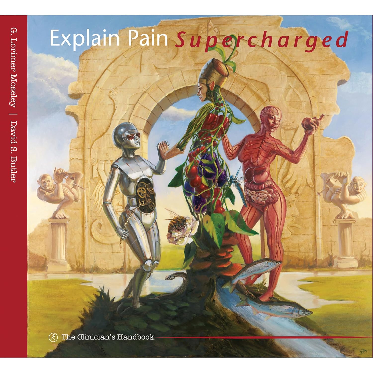 Explain Pain Supercharged