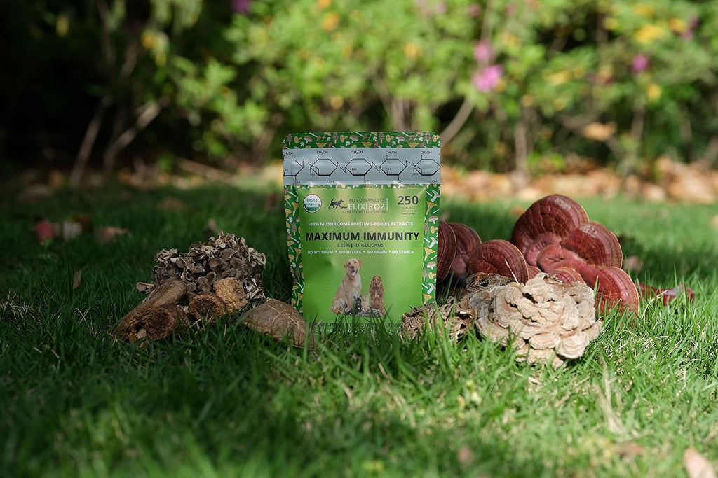 Complejo de Hongos para Perros y Gatos – 25%+ Beta-Glucanos – Mezcla de Extractos de Cuerpos Fructíferos (Cola de Pavo, Reishi, Maitake, Shiitake) – Apoyo Inmunitario y Digestivo – Sin Micelio, Sin Rellenos – 250 Servicios
