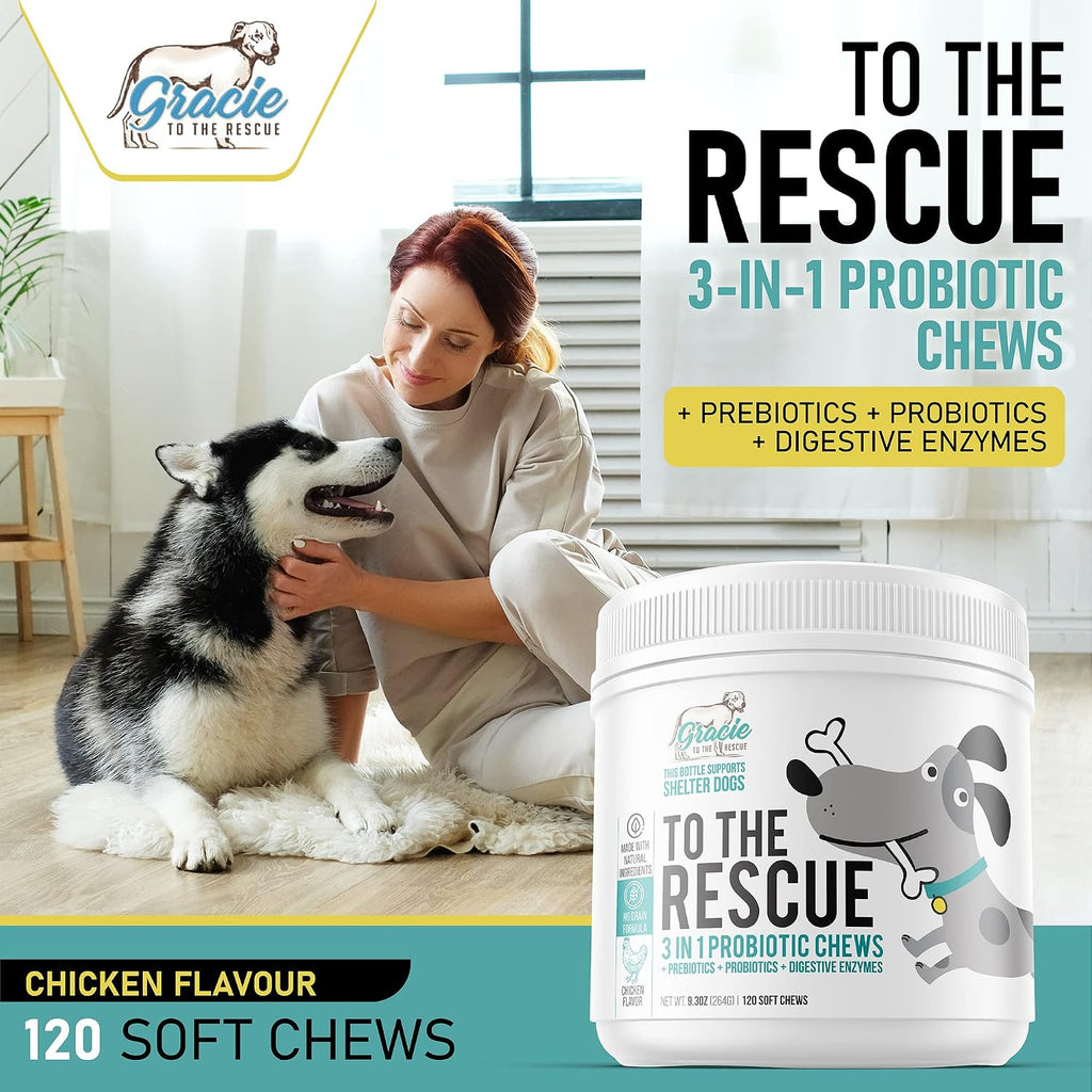 Probióticos para Perros Masticables – Apoyo Digestivo con Enzimas – 120 Unidades