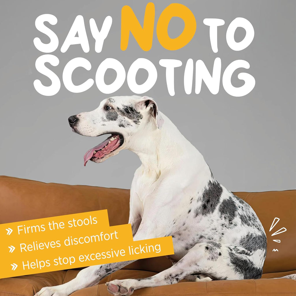 maxxiscoot Apoyo Digestivo y Glandular para Perros - Suplemento en Polvo Natural para la Calidad de las Heces y la Salud Intestinal - 141g