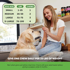 Pet Honesty Probióticos para Perros con Prebióticos y Enzimas - 6B UFC - 90 Masticables (Calabaza)