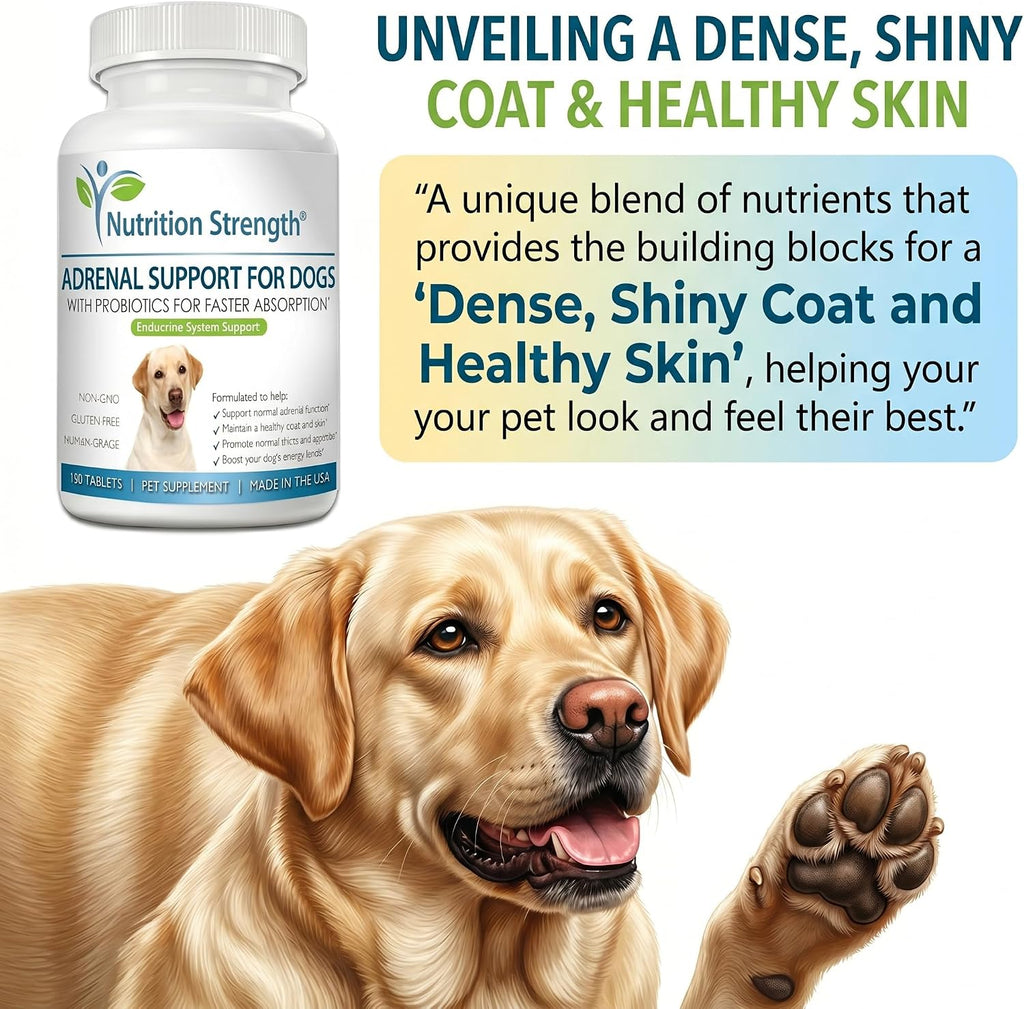 Nutrition Strength Adrenal Support for Dogs - Suplemento Adrenal para Perros, 120 Comprimidos Masticables