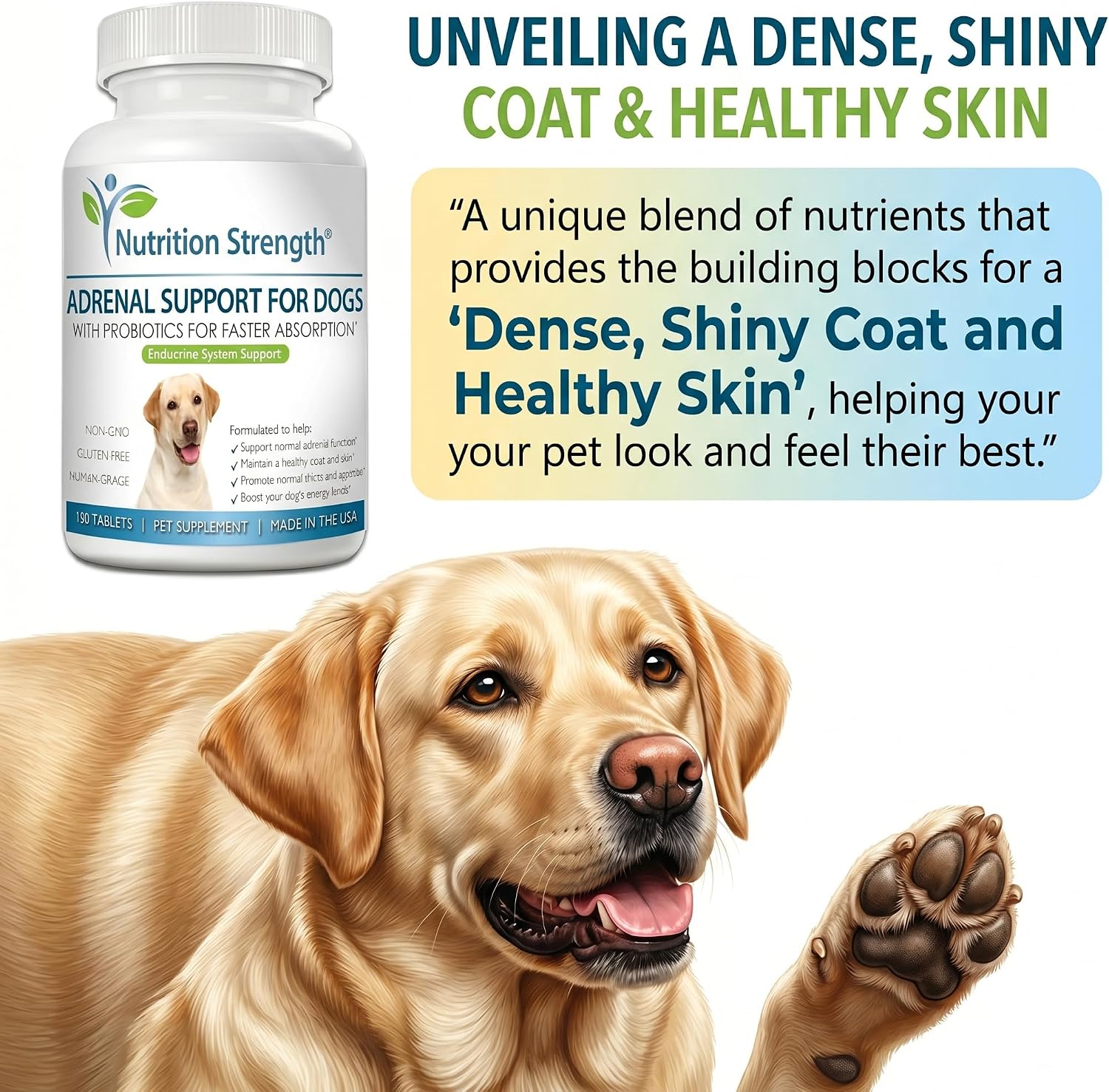 Nutrition Strength Adrenal Support for Dogs - Suplemento Adrenal para Perros, 120 Comprimidos Masticables