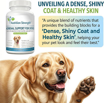 Nutrition Strength Adrenal Support for Dogs - Suplemento Adrenal para Perros, 120 Comprimidos Masticables – Image 3