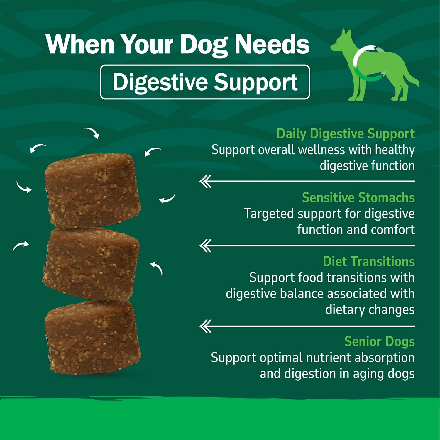 PetNC Natural Care - Masticables blandos Pre y Probióticos para perros sabor hígado y queso, 120 unidades
