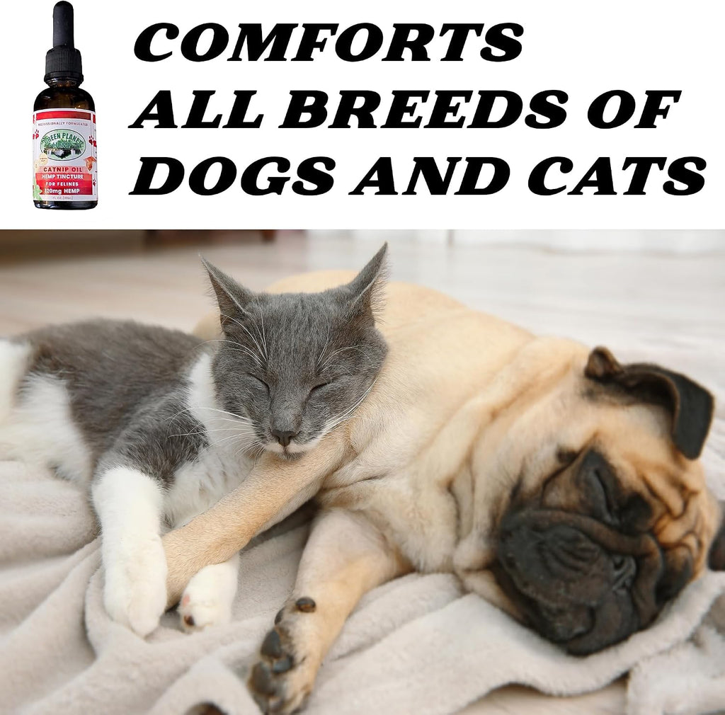 Pet Hemp Oil - Aceite de Cáñamo y Hierba Gatera para Perros y Gatos | 120mg Orgánico | Green Planet Hemp