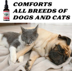 Pet Hemp Oil - Aceite de Cáñamo y Hierba Gatera para Perros y Gatos | 120mg Orgánico | Green Planet Hemp
