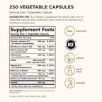 Solgar B-Complex '100' - 250 Cápsulas Vegetales - Complejo B para Energía y Sistema Nervioso