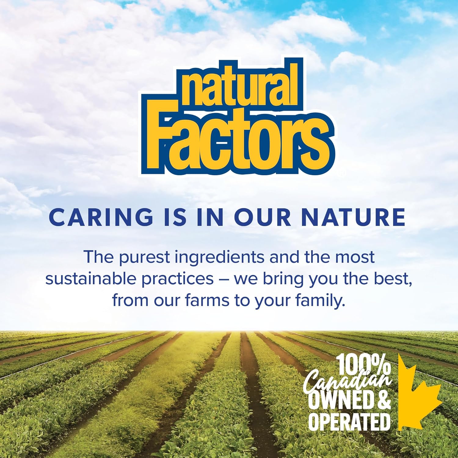 Natural Factors PEA400 - Palmitoylethanolamide Puro, 90 Cápsulas