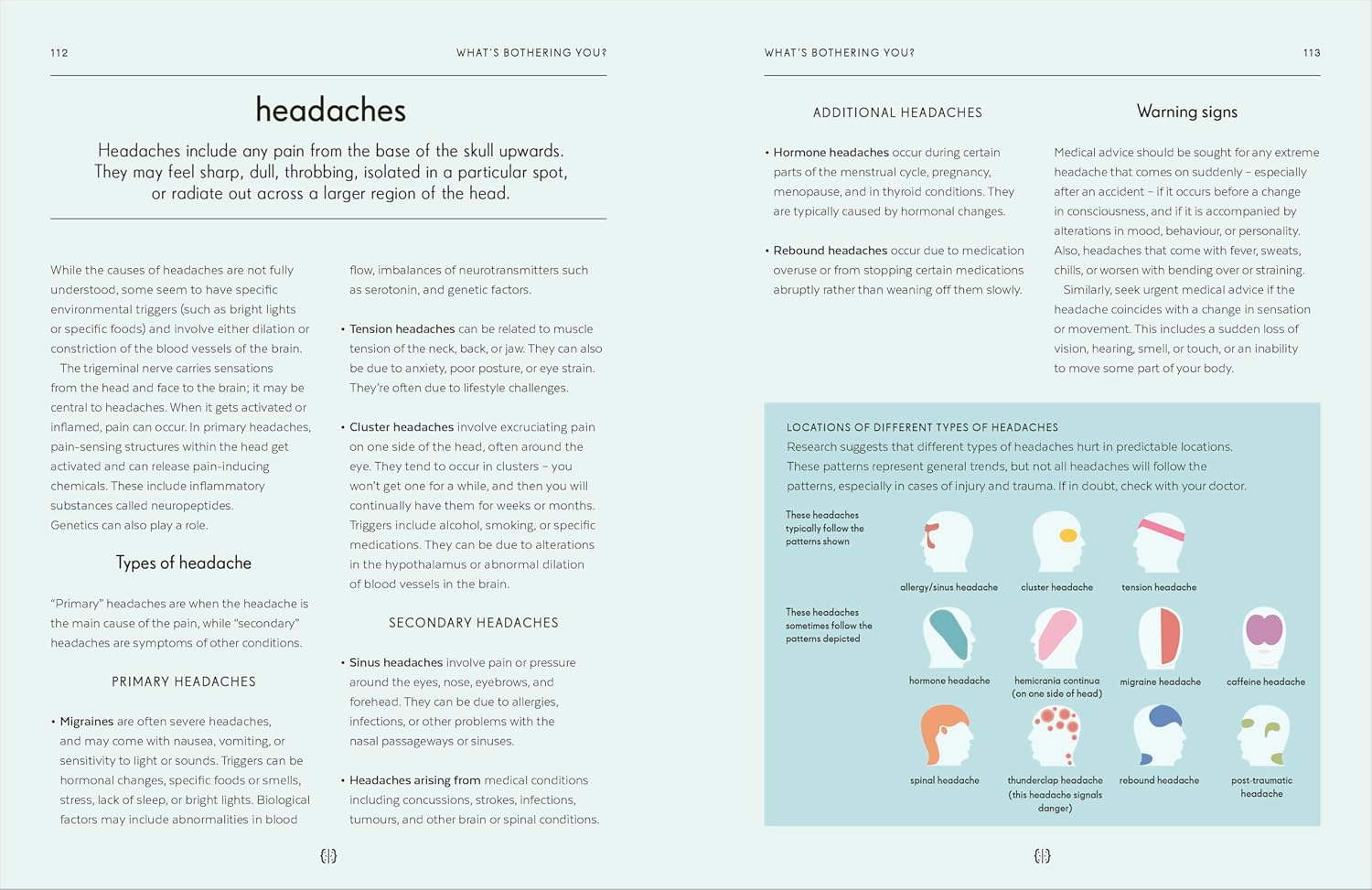 Brain: An Owner's Guide (The Body Literacy Library)