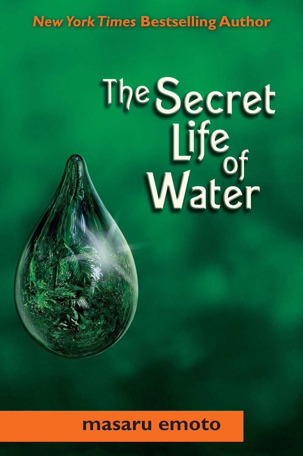 Secret Life of Water (Masaru Emoto Legacy – El poder de la intención : según el autor, las palabras y pensamientos – Image 1