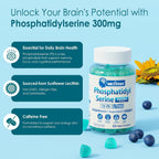 Fosfatidilserina - Gominolas Nootrópicas para Enfoque y Energía + Bacopa Monnieri, Omega 3, Huperzina A, Metil B12 y B6 para Mayores, Gamers y Trabajadores, No OGM, Sin Cafeína, Sin Azúcar, 2 Paquetes