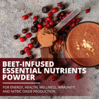 ChocoBerry Blast Superfood Powder – Mezcla Adaptógena de Superbayas con Remolacha, Champiñones y Polifenoles – Apoyo para la Recuperación, Energía y Salud Intestinal – Chocolate (480g)