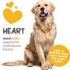 maxxicardio Heart Support para Perros Pequeños – Taurina, L-Carnitina, Espino, Ginkgo – Polvo 3.2 oz
