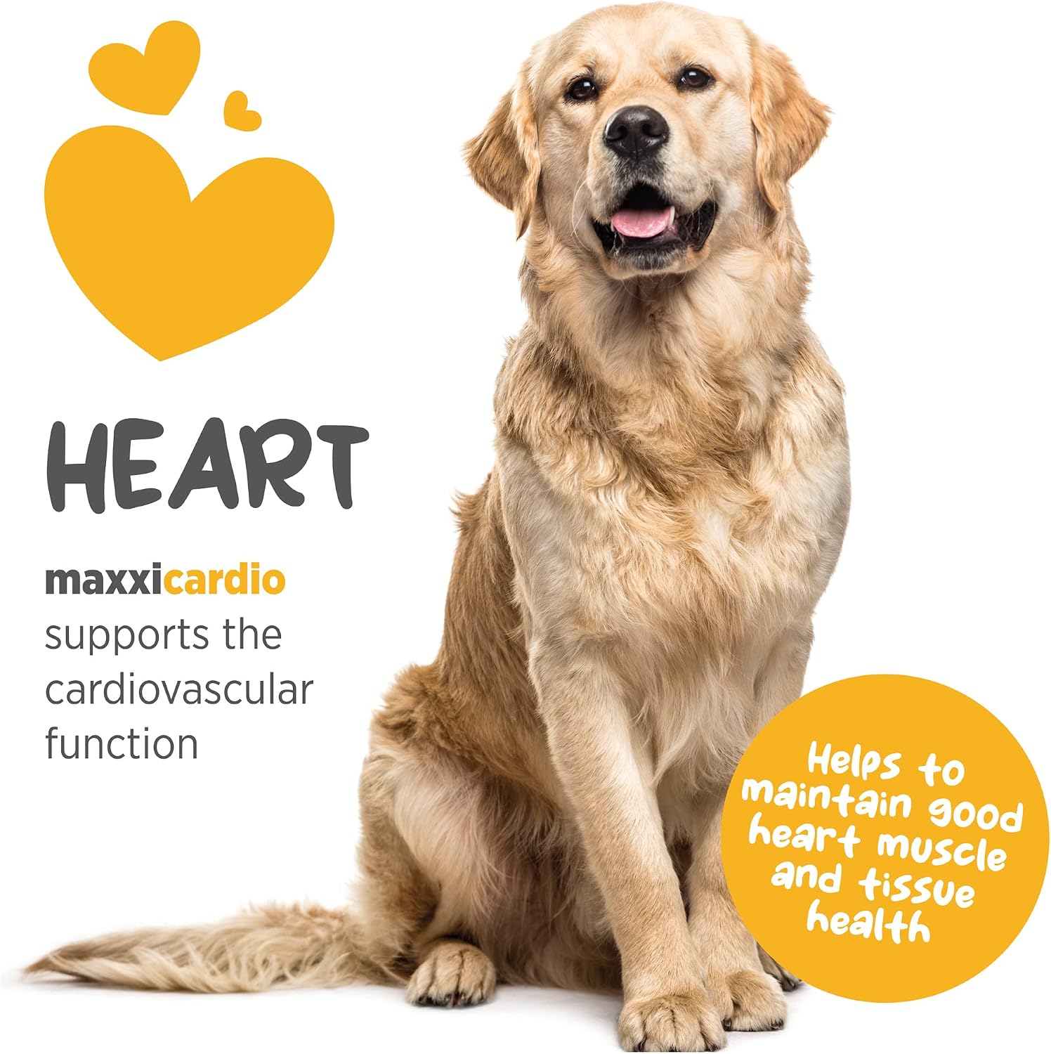 maxxicardio Heart Support para Perros Pequeños – Taurina, L-Carnitina, Espino, Ginkgo – Polvo 3.2 oz