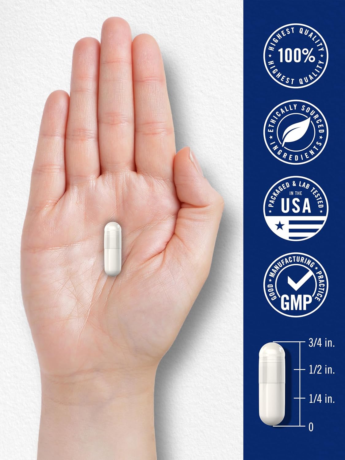 Carlyle L-Metilfolato 15 mg | 60 Cápsulas | Alta Potencia | Metilfolato Activado 5-MTHF