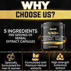 NUQIIT Suplemento NAD+ con Nicotinamida Ribósido, Resveratrol, Quercetina, Cúrcuma, Rhodiola Rosea - 60 Cápsulas
