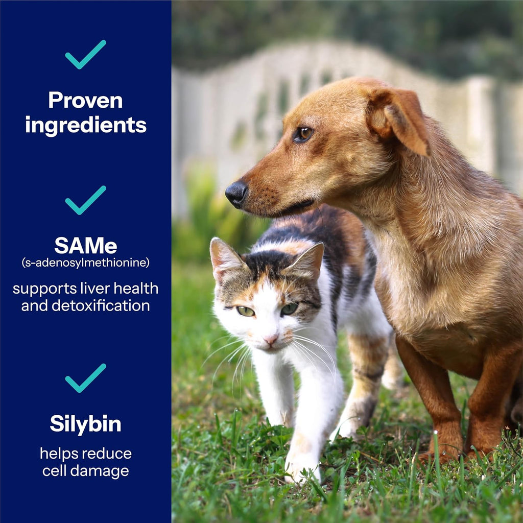 Same Pro Liver Support for Medium Dogs, 225mg, Green, 13-34 lb