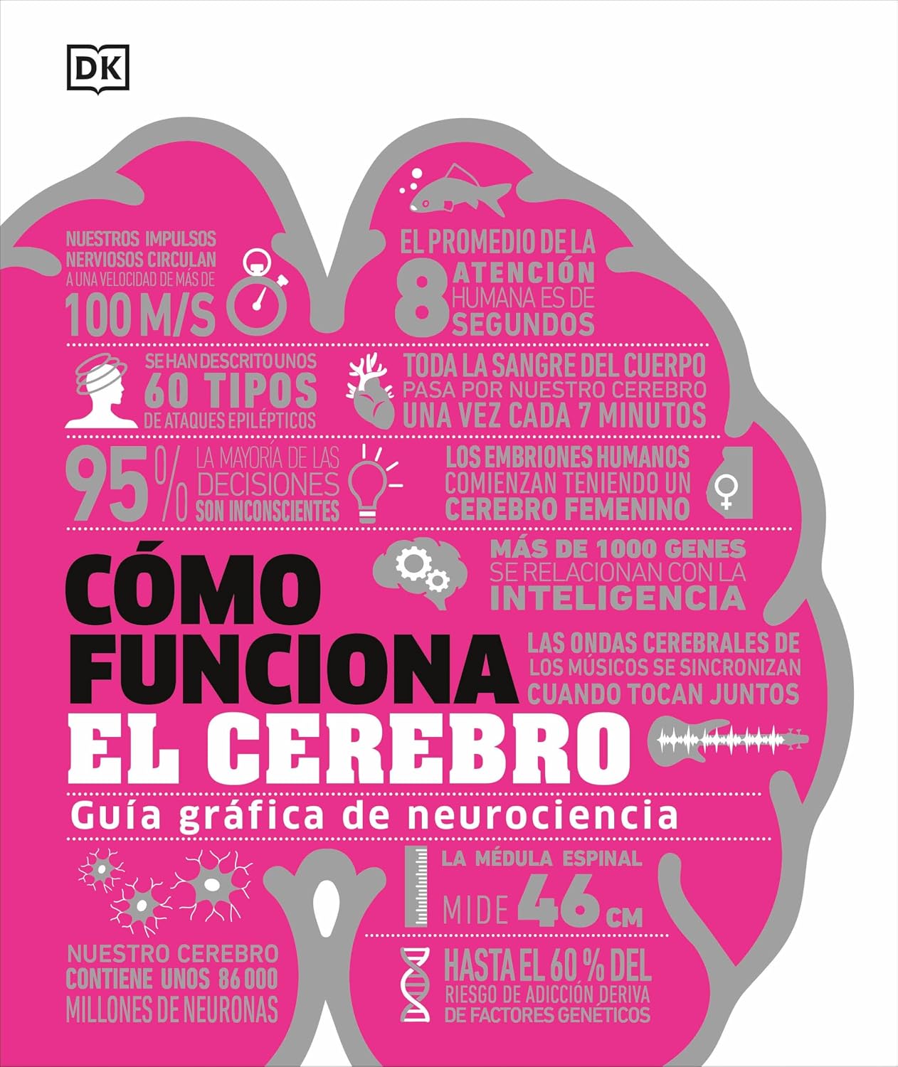 Cómo funciona el cerebro (How the Brain Works) (DK How Stuff Works)