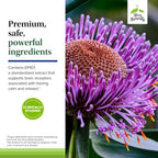Terry Naturally AnxioCalm - Suplemento Calmante con Equinácea de Hoja Estrecha - 75 Comprimidos