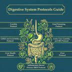 The Holistic Guide to Wellness: Herbal Protocols for Common Ailments