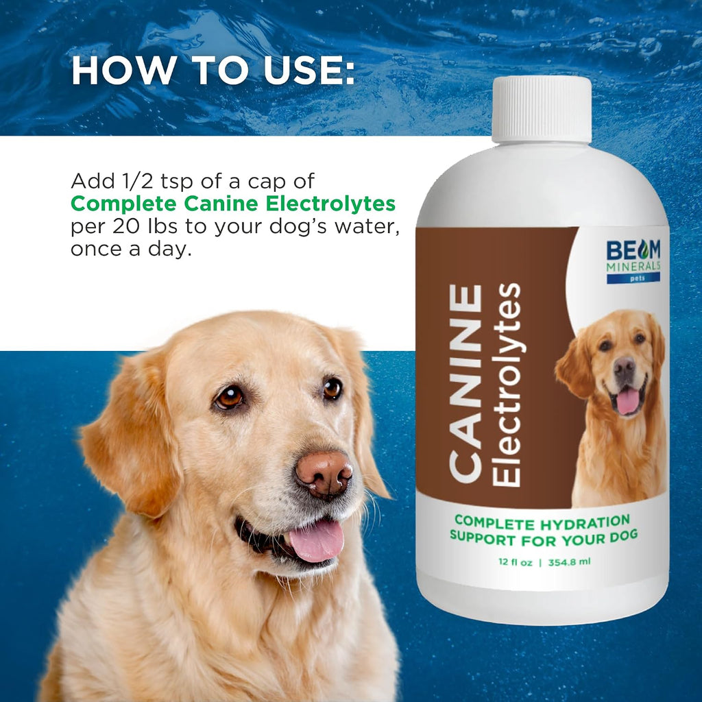Complete Canine Electrolytes | Electrolitos completos para perros | 355 ml