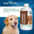 Complete Canine Electrolytes | Electrolitos completos para perros | 355 ml