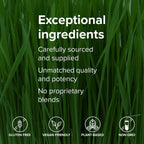 Vibrant Health, Green Vibrance Packets, Superalimento Vegano en Polvo Fácil de Transportar, 15 Paquetes