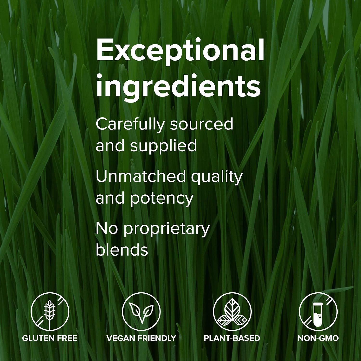 Vibrant Health Green Vibrance, Superalimento Vegano en Comprimidos, 240 Comprimidos