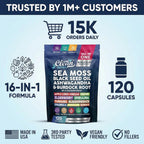 Clean Nutraceuticals Sea Moss Black Seed Oil Ashwagandha Turmeric Bladderwrack Burdock con Vitamina C y D3, 120 cápsulas