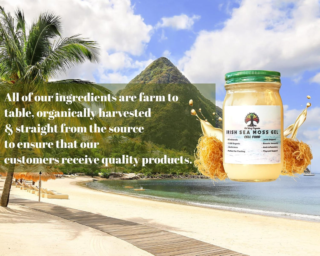 Gel de Musgo de Mar Irlandés Silvestre de GET WAVY ORGANICS – Vegano, No OGM, Sin Gluten (Pack de 1)