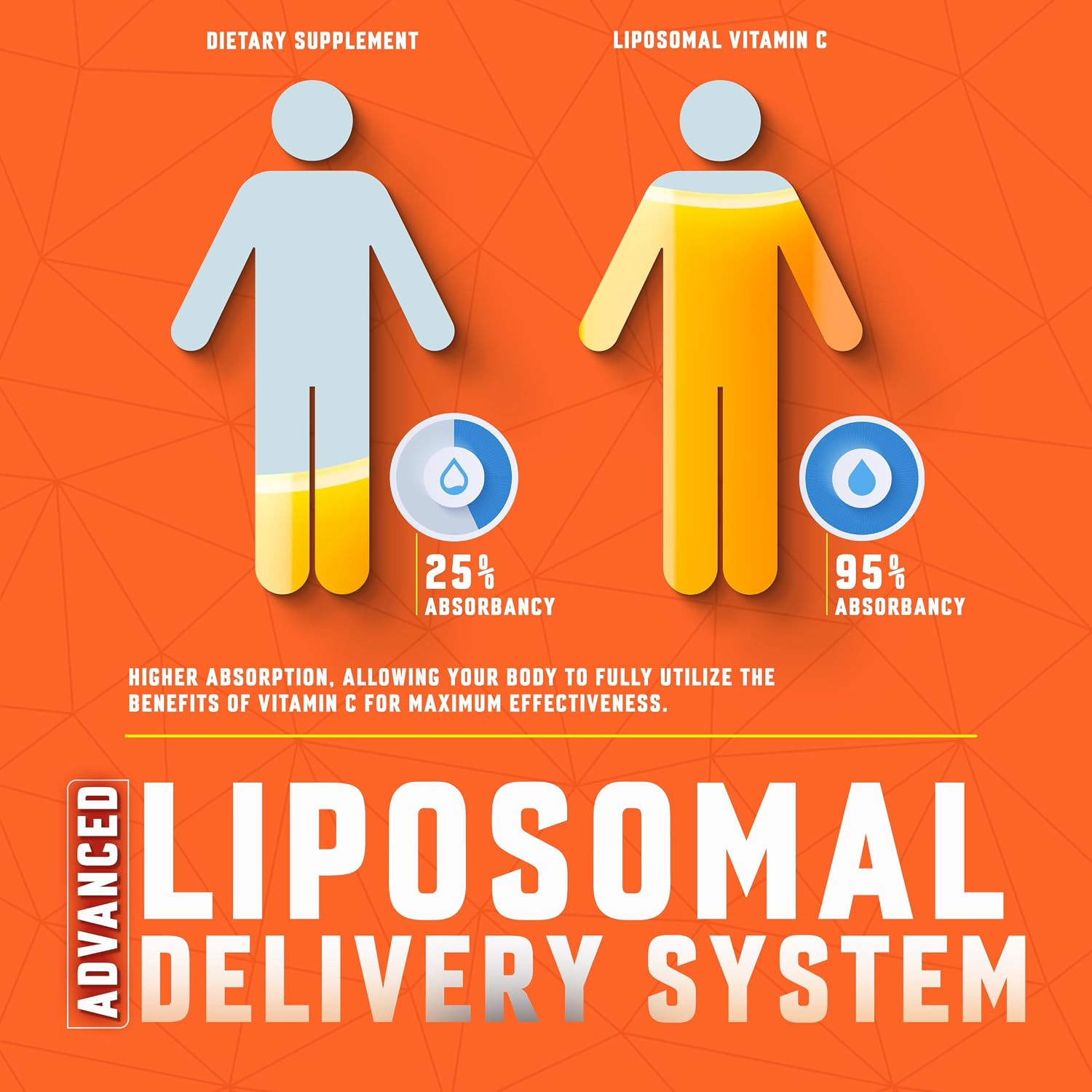 Vitamina C Liposomal Líquida 6000mg | 118 ml