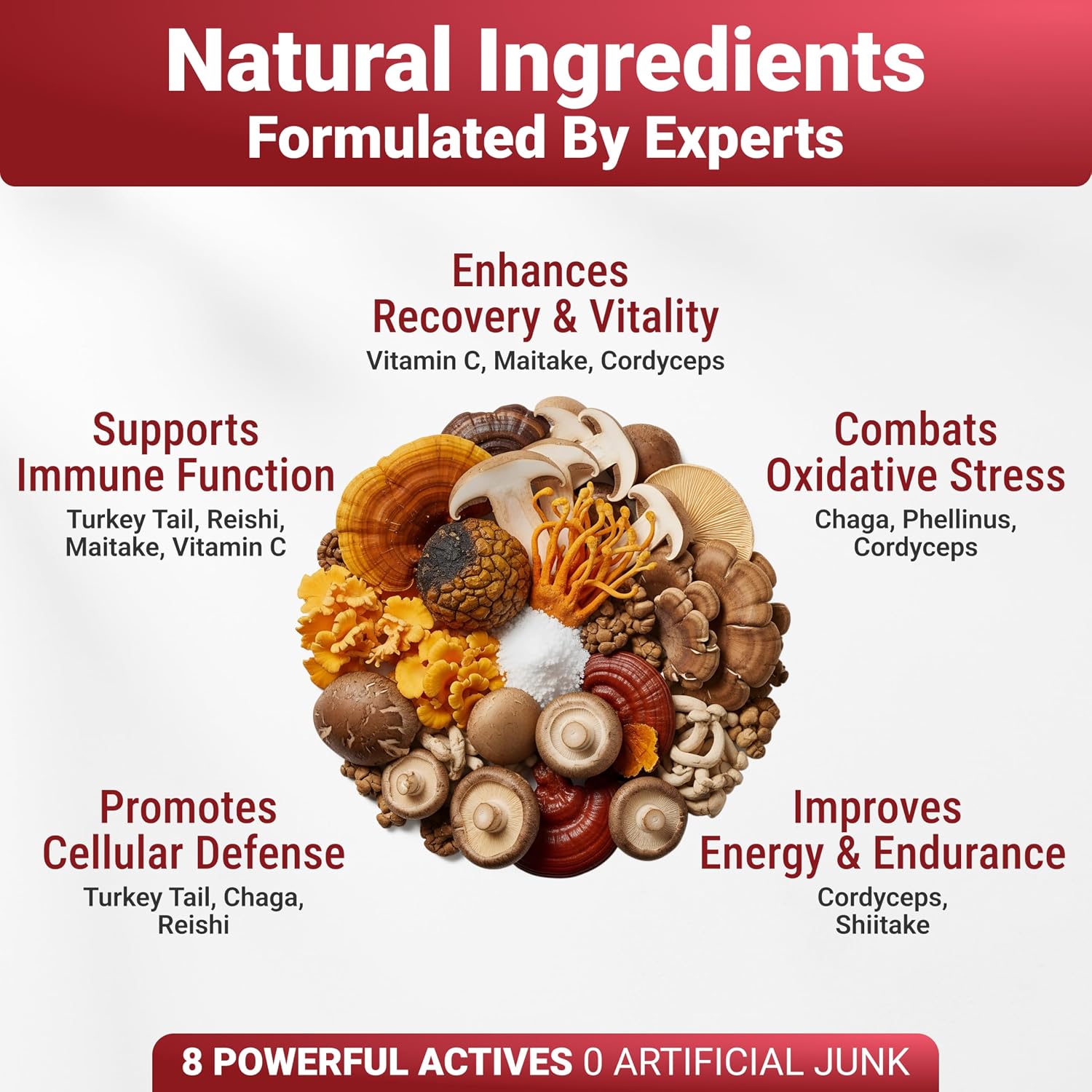 Turkey Tail Mushroom Powder para Perros - Mezcla de 7 Setas - WuffWell