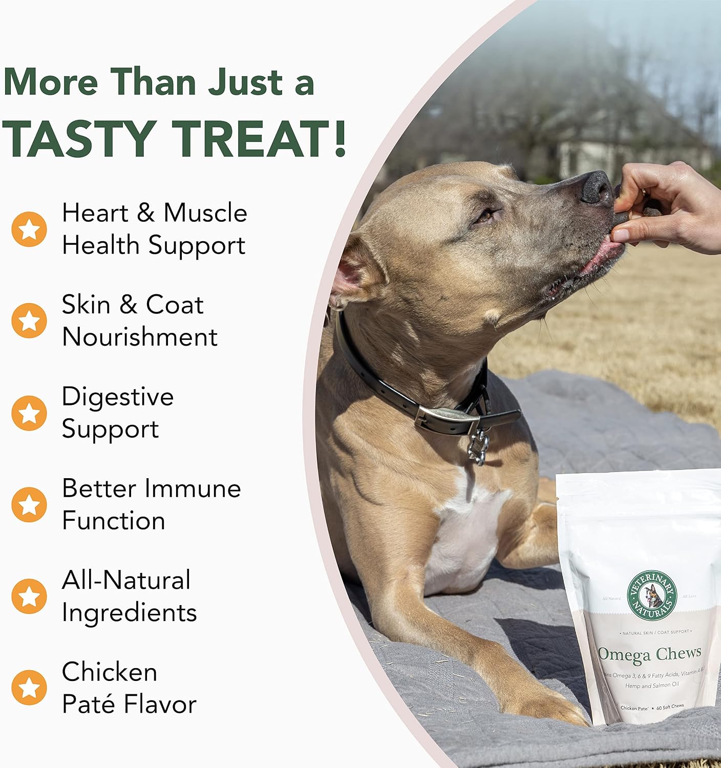Veterinary Naturals Hemp Oil & Salmon Oil Chews for Dogs - 60 Soft Chews