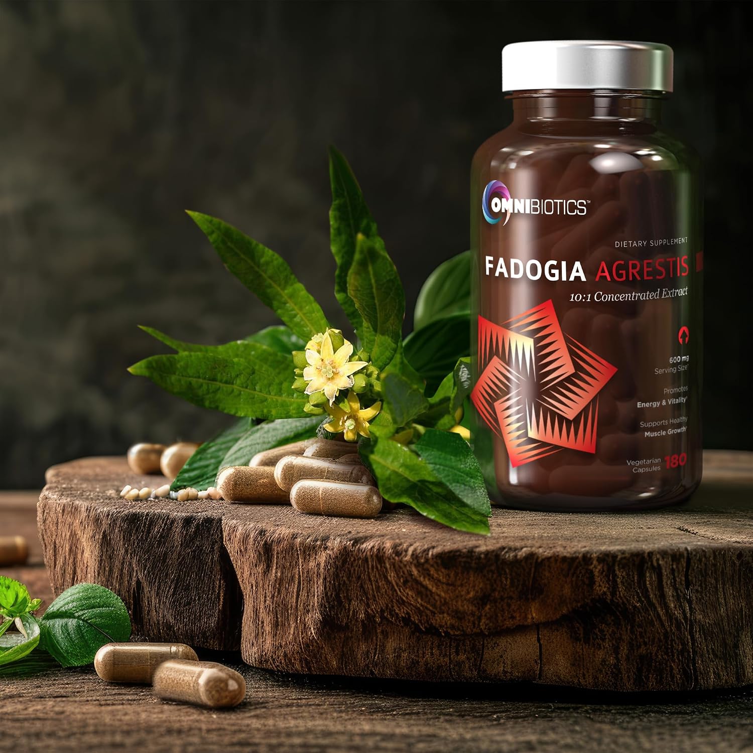 OmniBiotics Fadogia Agrestis 600mg por ración (180 cápsulas) - Extracto estandarizado 10:1 para apoyo muscular y rendimiento deportivo