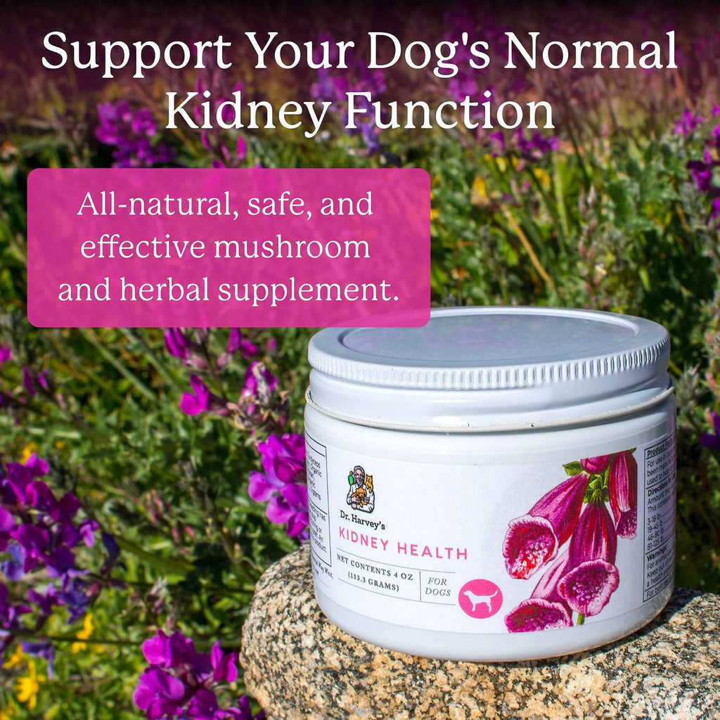 Dr. Harvey's Kidney Health - Suplemento de Apoyo Renal para Perros (113 g)