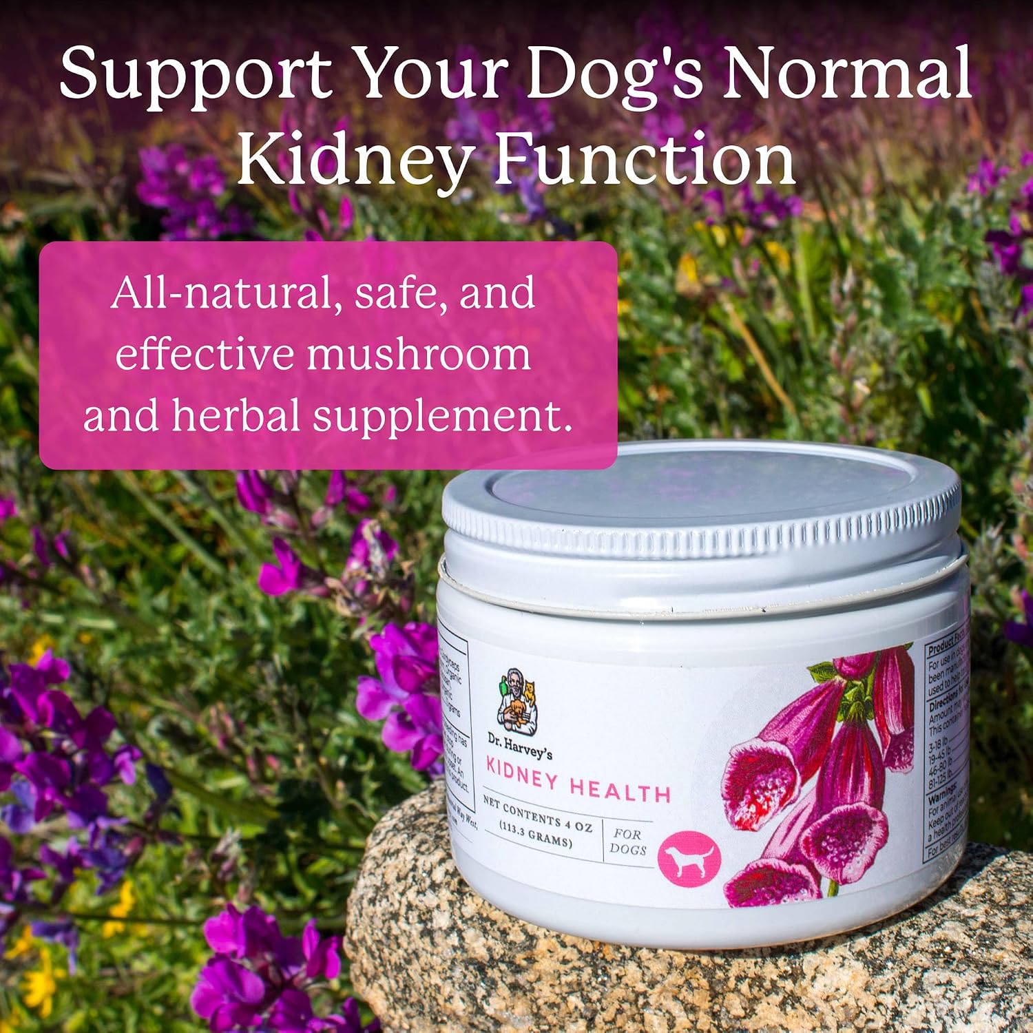 Dr. Harvey's Kidney Health - Suplemento de Apoyo Renal para Perros (113 g)