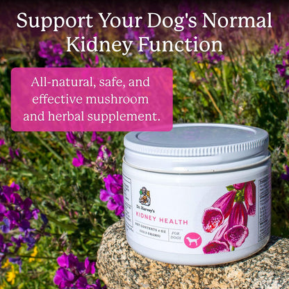 Dr. Harvey's Kidney Health - Suplemento de Apoyo Renal para Perros (113 g) – Image 2